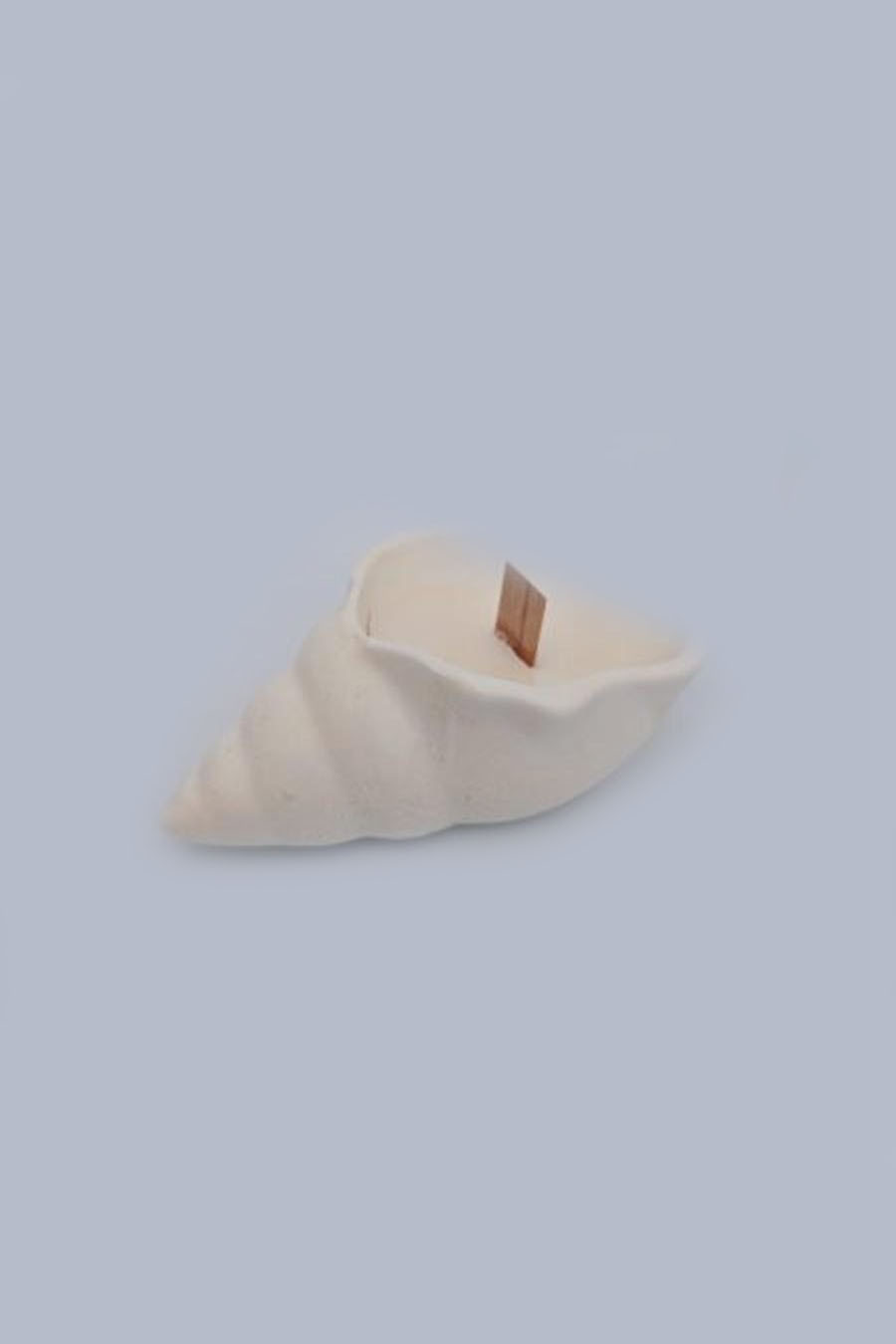 shell-shaped candle