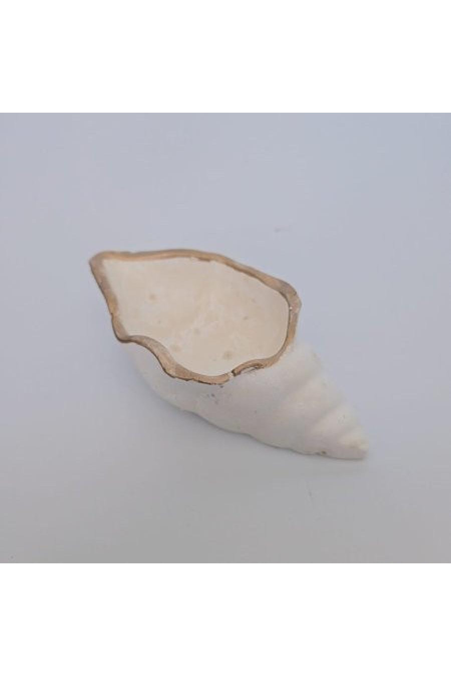 White with brown edges