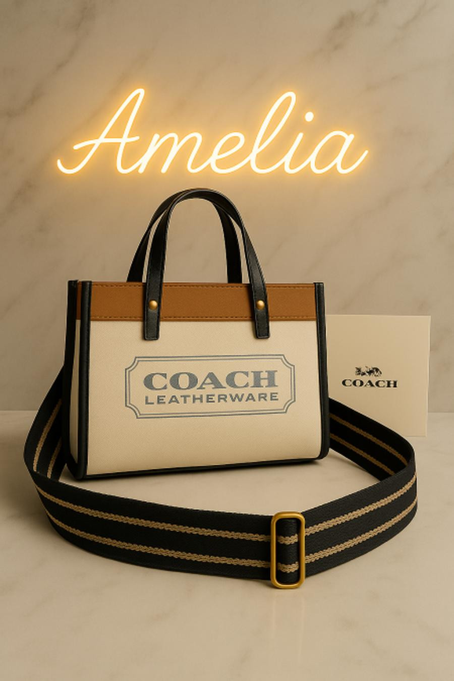 Coach bag with box