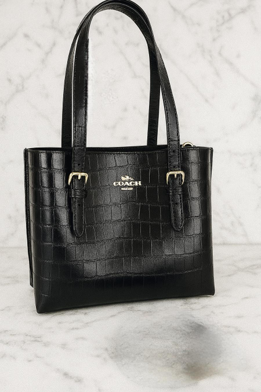 Mark Coach bag, including box